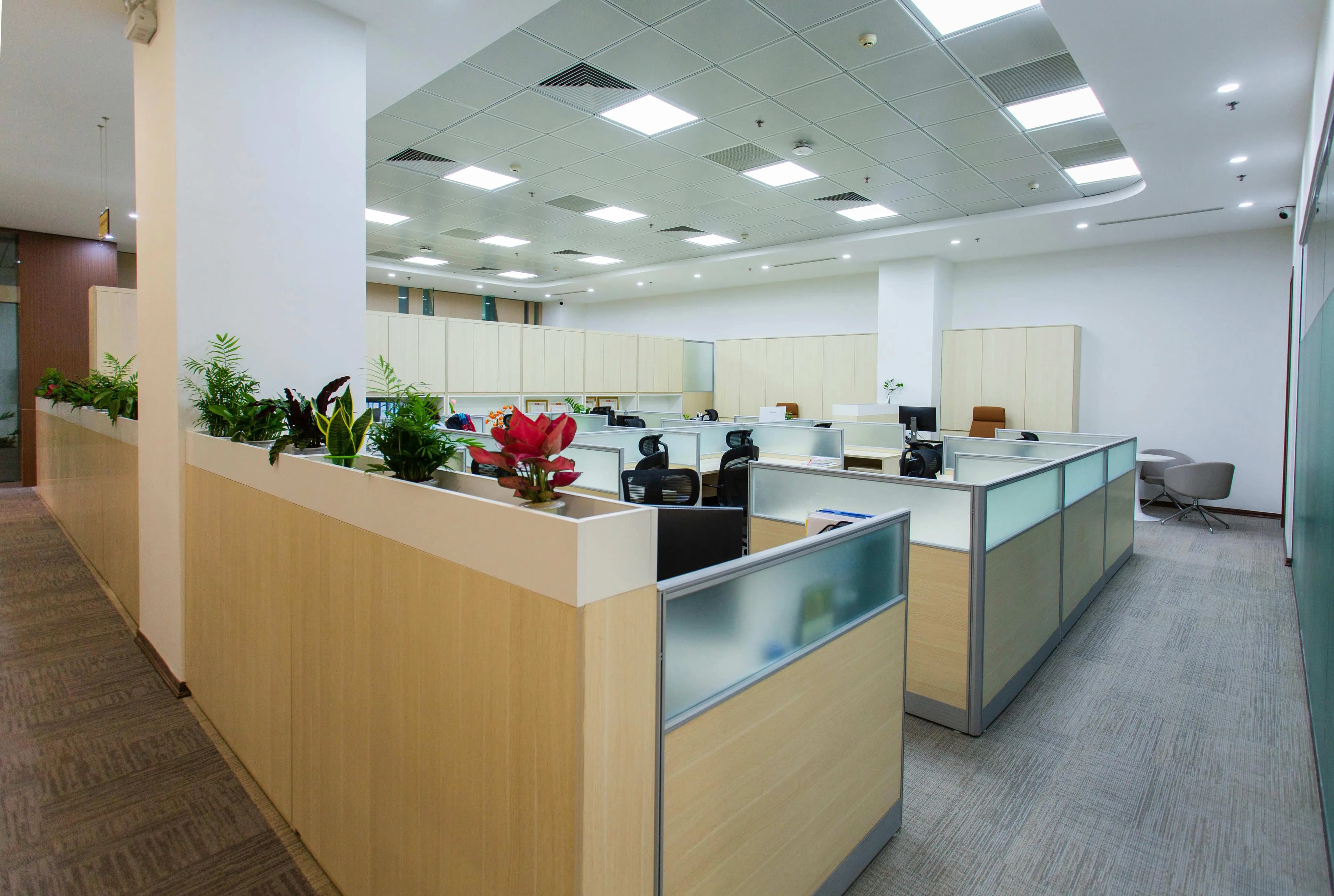 A bright coworking floor with a long shared desk and tall plants
